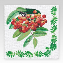 Салфетки бумажные рябина BELUX 24*24см, 1сл, 75л 1/32