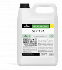 Pro-brite Septana антибактериальный гель, 5 л