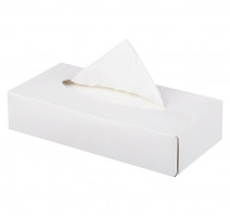 Салфетки в коробке косметические Tambien 2-сл., 100 шт/упак