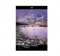 Тетрадь А4 96л клетка спираль