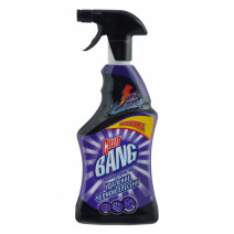 Средство для удаление черной плесени Cillit Bang 750мл триггер 1/8